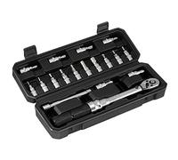 IPARTS EXPERT Chiave Dinamometrica 1/4", 2-20 Nm Chiavi Dinamometriche, 18 Pezzi Set di Manutenzione per Moto e Bici con Cricchetto Chiave, Barra di Estensione