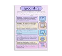 Ipconfig Command Guide Poster Windows Network Configuration Troubleshooting and TCPIP Reference Canvas Wall-Art for Home Office Decor(Framed,16x24inch(40x60cm))