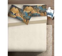 Completo fotografico Fine-Art 1 piazza Disegno Gingko