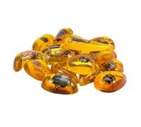 Ipetboom 10 pezzi Giochi Educativi per Insetti in Materiale Trasparente Durevole per Lavoretti Creativi e Artigianato Manuale