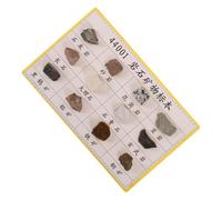 Ipetboom 12 Pezzi Campioni Minerali e Rocce Didattiche Compatte per Laboratorio e Aula di Geologia Esemplari Portatili con Texture Visibili per Studio e Esposizione