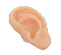 Ipetboom 1pezzi Di Orecchio Sinistro in Silicone Di Simulazione Orecchio Umano Per Insegnamento e Visualizzazione