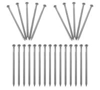 Ipetboom 25 Pezzi Di Chiodi Per Pavimenti In Acciaio Inossidabile Picchetti Per Erba Artificiale Picchetti A Spirale In Metallo