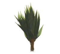Ipetboom Foglie Decorative per Sushi e Sashimi Foglie Bamboo Simulazione per Decorazioni Piatto per Sashimi e Dessert