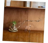 Ipetboom Miniatura Cavallo Realistico in Decorazione Creativa e Didattica per Casa e Ufficio Ornamento Classico e Resistente Adatto per Foto e Regali