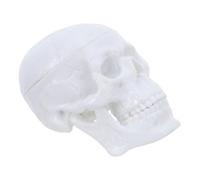 Ipetboom Modello Anatomico Cranio in Plastica Piccolo da 2,5x2 Pollici, Figura del Teschio Staccabile per Studenti di Infermieristica, Supporto Didattico Portatile per Laboratorio