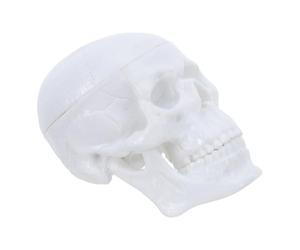 Ipetboom Modello Anatomico Cranio in Plastica Piccolo da 2,5x2 Pollici, Figura del Teschio Staccabile per Studenti di Infermieristica, Supporto Didattico Portatile per Laboratorio