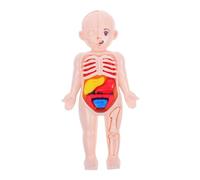 Ipetboom Modello Corpo Anatomico da Assemblare DIY per Organi Dettagliati Giocattolo Educativo Interattivo per Apprendimento Precoce e Sviluppo Manuale