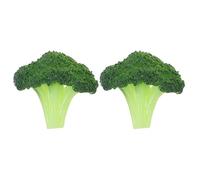 Ipetboom Timbro per Lentiggini 2 Pezzi a Forma di Broccoli Strumento per Contorno Viso Pennello Applicatore Trucco Naturale Antisbavatura per Effetto Lentiggini Realistiche Accessorio