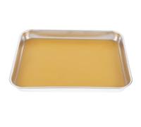 Ipetboom Vassoio di Dissezione in Acciaio Inossidabile 26X20X3 CM con Rivestimento in Cera per Laboratorio Didattico Vassoio Anatomico per Studenti Scuole Medie e Superiori