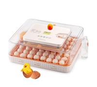 iPettie ProHatch56 Incubatrice per uova da cova con rotazione automatica delle uova e controllo della temperatura dell'umidità, capacità di 56 uova per uova di gallina, uova di anatra, uova di quaglia