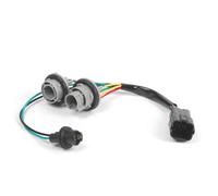 IPEVMLZ 92480-A9020 Per Kia Per Sedona 2015 2016 2017 2018 Fanale Posteriore Lampadina Presa Cablaggio Freno Posteriore Lampada Connettore Fili Accessori(1 pz)