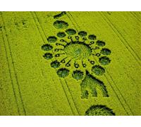 IPLUPJDY Artistico Poster Mural Dipinto Vintage Quadri Cerchio nel grano in un campo di colza Milk Hill di Ferdinand Georg Waldmuller per la Decorazione Della Parete 60x90cm