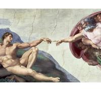 IPLUPJDY Artistico Poster Mural Dipinto Vintage Quadri Soffitto della Cappella Sistina Creazione del dettaglio delle braccia tese di Buonarroti per la Decorazione Della Parete 60x90cm