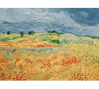 IPLUPJDY Astratta Della Poster Stampe su Tela Murale Dipinto Campi di papaveri in fiore di Vincent Van Gogh per Decorazioni per la Casa 60x90cm