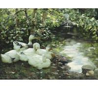 IPLUPJDY Astratta Della Poster Stampe su Tela Murale Dipinto Cinque anatre sulla pietrosa del fiume di Alexander Koester per Decorazioni per la Casa 60x90cm