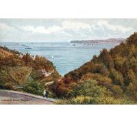 IPLUPJDY Astratta Della Poster Stampe su Tela Murale Dipinto Lincombe Drive Torquay di Alfred Robert Quinton per Decorazioni per la Casa 60x90cm