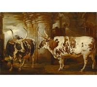 IPLUPJDY Astratta Della Poster Stampe su Tela Murale Dipinto Ritratti di due straordinari buoi di proprietà del conte di Powis di un famoso artista per Decorazioni per la Casa 60x90cm