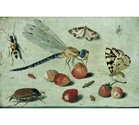 IPLUPJDY Astratta Della Poster Stampe su Tela Murale Dipinto una mosca del drago due falene un ragno e alcuni coleotteri con fragoline di bosco per Decorazioni per la Casa 60x90cm