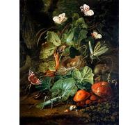 IPLUPJDY Astratta Della Poster Stampe su Tela Murale Dipinto una natura morta sottobosco con frutta e insetti di Elias Van Den Broeck per Decorazioni per la Casa 60x90cm