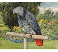 IPLUPJDY Dipinto su Tela Arte Della Parete su Tela Immagine Pittura Animale grigio di Charles Collins per Decorazioni per la Casa 60x90cm