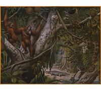 IPLUPJDY Dipinto su Tela Arte Della Parete su Tela Immagine Pittura Animali selvaggi della foresta pluviale di Marinus Adrianus Koekkoek per Decorazioni per la Casa 60x90cm