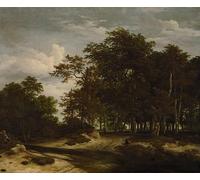 IPLUPJDY Quadri Stampe Quadro su Tela Poster su Tela laForesta di Jacob Van Ruisdael per Decorazioni per la Casa 60x90cm