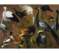 IPLUPJDY Quadri Stampe Quadro su Tela Poster su Tela Studio degli uccelli di Desportes per Decorazioni per la Casa 60x90cm