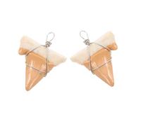 iplusmile 2 Pezzi Ciondolo Con Dente Di Squalo Fascino Dei Denti Gioielli Da Spiaggia Per Ragazze Adolescenti Gioielli Di Squali Fornitura Di Costume Da Squalo Fil Di Ferro