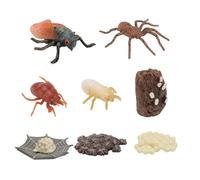 iplusmile 2sets Modelli Di Ciclo Di Crescita Di Animali Imitati in Plastica Leggera e Resistente Per Cognizione Dei Ragazzo Ragazza Giocattoli Educativi Modelli Realistici Di Aracnide e