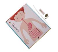 iplusmile 4 Set Modelli Digerente DIY per Kit Educativo Scienza Interattiva Gioco Manuale per Apprendimento e Sviluppo Abilità Motorie Materiale Didattico per Scuola e Prima