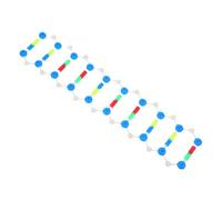 iplusmile Dna Doppia Educativo Struttura Molecolare Per Insegnamento Di Genetica Laboratorio e Aula Kit Didattico Per Comprensione Avanzata Della Biochimica Scienze Biologiche