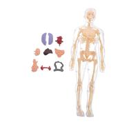 iplusmile Modello Corpo Educativo per Organi Smontabili Kit Interattivo Anatomia Trasparente per Apprendimento Scientifico e Puzzle Didattico per Ragazzi e