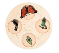 iplusmile Pannello Educativo Montessori per Ciclo di Crescita Animali Gioco Didattico per Asilo e Scuola Scomparti di Apprendimento Naturale e Riconoscimento