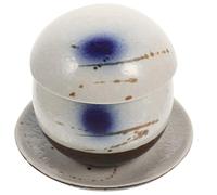 iplusmile Set 1 Coppetta per Gelato in Ceramica con Coperchio Piccola Ciotola per Zuppa e Stufato Resistente al Calore Tazza Fumante con Vassoio per Cucina Ristorante e Campeggio