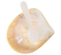 iplusmile Set Piatto da Portata per Caviale Cucchiaio Portasapone Creativo in Conchiglia Lucida Decorazione Compatta per Cucina Ristorante e Hotel Ornamento Elegante per Colore Casuale