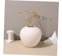 iplusmile Vaso Decorativo per Fiori Secchi e Freschi Semplice e Versatile e Centrotavola Adatto Bouquet e Piante Verdi