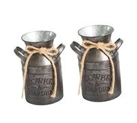 iplusmile Vaso in Vintage Multifunzionale per Fiori e Uso Contenitore Decorativo Antico Retro per Giardino Lattiera Composizioni Floreali e Casa