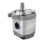 IPNDKBFL Pompa Idraulica a Ingranaggi Serie HGP | Corpo in alluminio, ingranaggi di alta precisione, basso rumore, affidabile. Modelli HGP.(Hgp-2a-f10r)