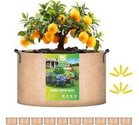 iPower 15 Gallon 10 Pack Grow Bags Nonwoven Fabric Pots Aeration Container with Strap Handles for Garden and Planting, 10-Pack Tan, 15 Gallon