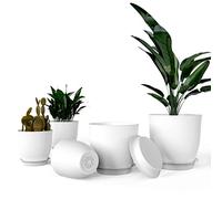 iPower Vaso da vivaio con fori di drenaggio e vassoio per tutte le piante da appartamento, piante grasse, fiori, cactus o piantine, bianco