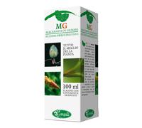 IPPOCASTANO 100ML MG