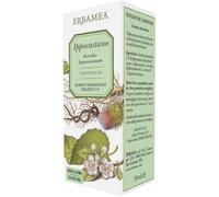 IPPOCASTANO 50ML