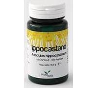 IPPOCASTANO 60CPS