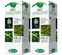 Ippocastano Macerato Glicerico 100 Ml 2x100 ml Soluzione orale