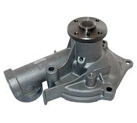 IPS Parts IPW-7K04 Pompa Acqua
