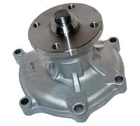 IPS Parts IPW-7K09 Pompa Acqua
