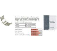 IPSA Kit cuscinetto albero a gomiti MB107500 per BMW 3 Sedan (E90) 5 Sedan (E60)