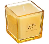 ipuro - Candela profumata decorativa ipuro soft vanilla - Candele profumate minimalista e puristiche in vetro - Candele profumate intense con fine vaniglia del Madagascar - Elegante candela da 125 g