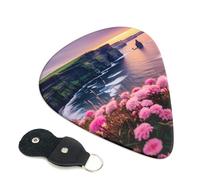 Ireland Outdoors County Clare The Cliffs, 6 plettri per chitarra, stampa su entrambi i lati, per chitarra acustica, basso, ukulele, chitarra elettrica (0,46 mm, 0,71 mm, 0,96 mm)